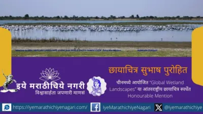 फ्लेमिंगो-क्रेनची मनोवेधक शिस्त : कच्छच्या जलभूमीचे जागतिक मंचावर कौतुक