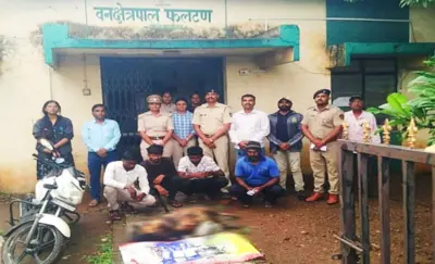 आदर्की खुर्द येथील रानडुक्कर शिकार प्रकरणी चार आरोपींना वनकोठडी