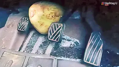 ప్రాణం తీసిన కొబ్బరి బొండం