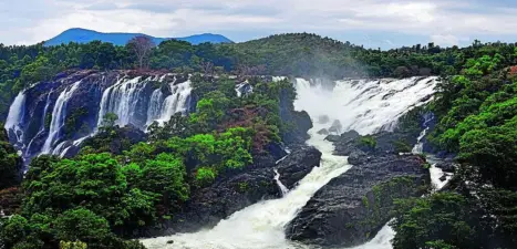 ಭರಚುಕ್ಕಿ ಜಲಪಾತಕ್ಕೆ ಮರುಕಳಿಸಿದ ದೃಶ್ಯ ವೈಭವ; ಪ್ರವಾಸಿಗರ ದಂಡು