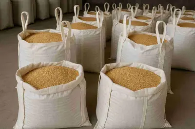 How to store wheat: Wheat won't be infested with weevils! Use these homegrown hacks to store it year-round.
