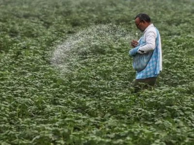 Fertilizer availability adequate during Kharif 2026, Centre tells Parliament