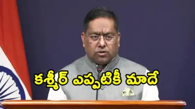 కశ్మీర్పై ఓఐసీ తీర్మానాన్ని తిరస్కరించిన భారత్.. పాకిస్థాన్ దుష్ప్రచారానికి గట్టి కౌంటర్