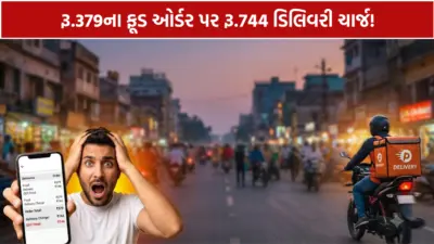 રૂ.379ના ઓર્ડર પર રૂ.744 ડિલિવરી ચાર્જ! વાયરલ સ્ક્રીનશોટ જોઈ યુઝર્સ ભડક્યા, કહ્યું- 'ખાવાનું પ્લેનમાં મોકલશો?'
