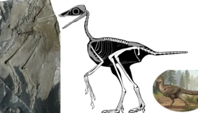 Living Dinosaur Link! ଆଜି ବି ବଞ୍ଚିଛନ୍ତି ଡାଇନୋସର? ୧୪.୯ କୋଟି ବର୍ଷର ରହସ୍ୟ ଖୋଲିଲା ଚୀନ୍!
