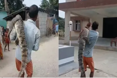 अरे देवा...! खांद्यावर मगर अन् थेट पोलीस ठाण्यात! VIDEO