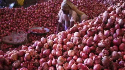 Govt Hikes Price: ఉల్లి రైతులకు భారీ శుభవార్త.. రైతుల పంట పండినట్లే..