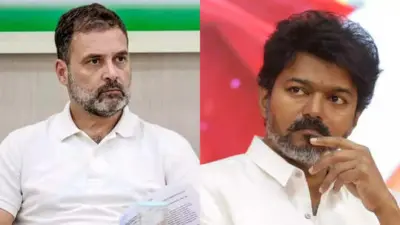 TVK Vijay And Congress: விஜய் முதல்வராக தவெகவுக்கு ஆதரவு தருமான காங்கிரஸ்.. ராகுல் என்ன முடிவெடுக்க போகிறார்?