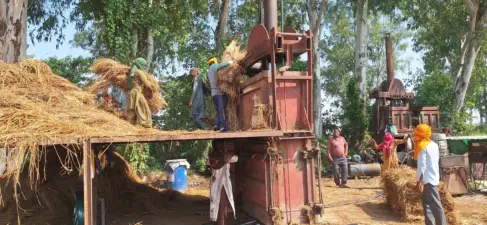 Karnal farmers turn crop residue into revenue