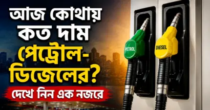 আইনি লড়াইয়ের ইতি, সুপ্রিম কোর্টে পারস্পরিক সম্মতিতে বিচ্ছেদ ওমর -পায়েলের