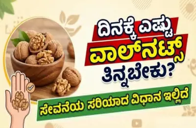 ದಿನಕ್ಕೆ ಎಷ್ಟು ವಾಲ್ನಟ್ಸ್ ತಿನ್ನಬೇಕು? ಸೇವನೆಯ ಸರಿಯಾದ ವಿಧಾನ ಇಲ್ಲಿದೆ