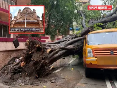 13 जणांचा मृत्यू, सव्वाशे जखमी; वृक्ष दुर्घटनांबाबत BMC चे अधिकारी कधी जागे होणार?