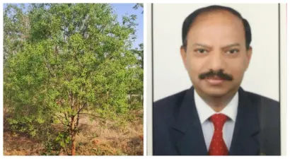 'ಶ್ರೀಗಂಧ ಬೆಳೆಗೂ ಏಕರೂಪದ ಕಾನೂನು ಜಾರಿ ಮಾಡಿ, ಮಾರಾಟ ಮಾಫಿಯಾ ತಪ್ಪಿಸಿ'