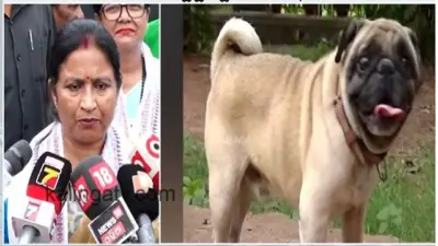 BMC Mayor Sulochana Das holds dog owners accountable for nuisance