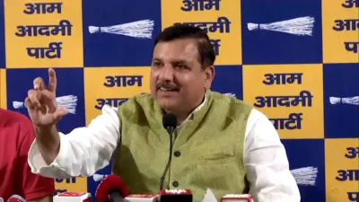 'Operation Lotus' a failed bid to destabilise Punjab Govt: Sanjay Singh after AAP MPs join BJP