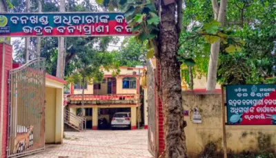 ଜିଲ୍ଲା ବନ୍ୟପ୍ରାଣୀ ବନଖଣ୍ଡ କାର୍ଯ୍ୟାଳୟରେ ଚାଲିଛି ଗୁପ୍ତ ଟେଣ୍ଡର କେଳଙ୍କାରୀ