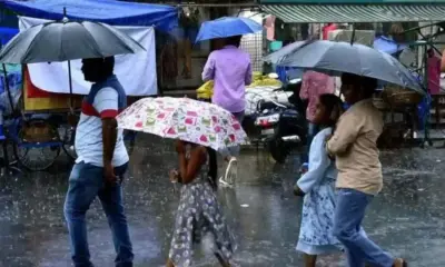 రైతన్నకు బిగ్ రిలీఫ్..మరో 3 రోజులు వానలు