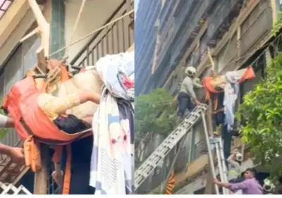 Woman rescued from tree after alleged 10th-floor jump