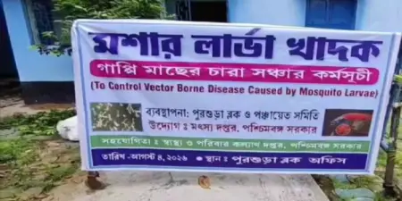 পুরশুড়ায় ডেঙ্গি প্রতিরোধে গাপ্পি মাছ বিতরণ, উদ্যোগ ব্লক প্রশাসনের