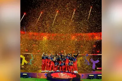 Raipur RCB IPL 2026 Celebration : लंबे इंतजार के बाद मिली जीत का जश्न, राजधानी के चौक-चौराहों पर फैंस ने निकाला विजय जुलूस, गूंजे RCB के नारे