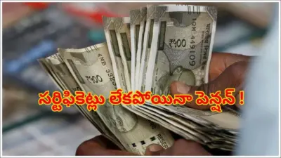 సర్టిఫికెట్లు లేకున్నా పింఛన్కు అప్లై చేసుకోవచ్చు