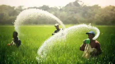 ఎరువుల కొరతకు చెక్ పెట్టిన మోదీ సర్కార్