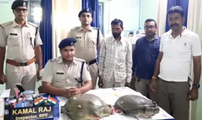 দুন এক্সপ্রেসে কচ্ছপ পাচার, পানাগড়ে আটক ব্যক্তি