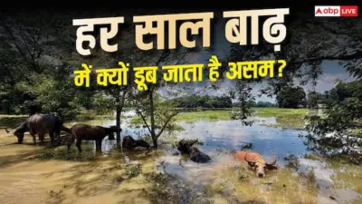 Assam Flood Reasons: असम में बार-बार क्यों आती है बाढ़, क्यों नहीं हो पाता इसका इलाज?