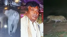 ಬೆಂಗಳೂರಿನಲ್ಲಿ ಆನೆ ದಾಳಿಗೆ ಕಾರ್ಮಿಕ ನಾಗರಾಜ್ ಸಾವು