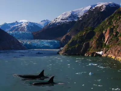 Alaska's 2025 Mega Tsunami Exposes Rising Cruise Ship Risks as Glaciers Retreat, Scientists Warn of Record 481m Wave