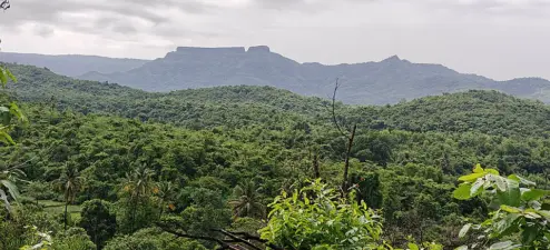 Union Govt Reissues Notification Proposing 56,800 Sq Km as Eco-Sensitive Areas in Western Ghats