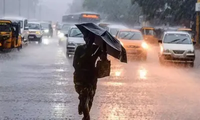 రాష్ట్రంలో రుతుపవనాల జోరు, ఆ జిల్లాలకు 'ఎల్లో అలర్ట్'
