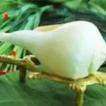Rules For Conch: घर में है शंख तो भूलकर भी न करें ये गलतियां