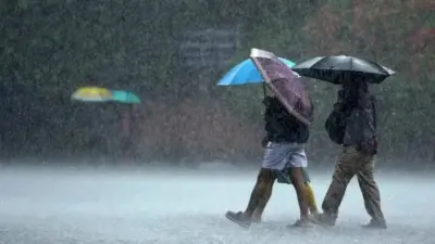 Weather Forecast: राज्यात 24 जिल्ह्यात पावसाचा इशारा; आज कुठे मुसळधार, कुठे वादळी पाऊस?