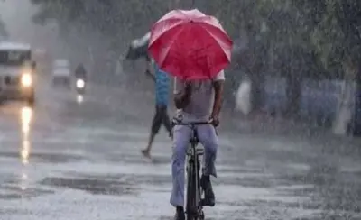 10 साल में तीसरी बार सूखा रहा जुलाई का महीना, हरियाणा में सामान्य से 26% कम बारिश.