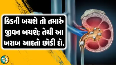 તમારી કીડની બચશે તો તમારું જીવન બચશે; તેથી આજથી જ આ 5 ખોટી આદતો છોડી દો.!