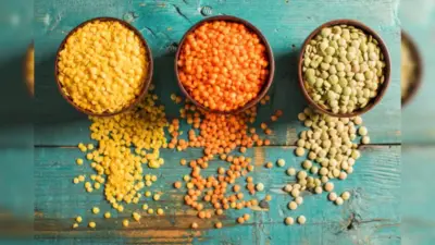 Protein Rich Vegetarian Foods to Add to Your Diet