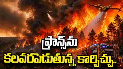 ఫ్రాన్స్ను కలవరపెడుతున్న కార్చిచ్చు.. అణు కేంద్రాల వైపు దూసుకొస్తున్న మంటలు..