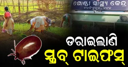 ଓଡ଼ିଶାରେ ପୁଣି ସ୍କ୍ରବ୍ ଟାଇଫସ୍ ଭୟ.ପାଲଲହଡ଼ାରେ ୩୨ ଆକ୍ରାନ୍ତ, ନରସିଂହପୁରରେ ମୃତ୍ୟୁ ଅଭିଯୋଗ