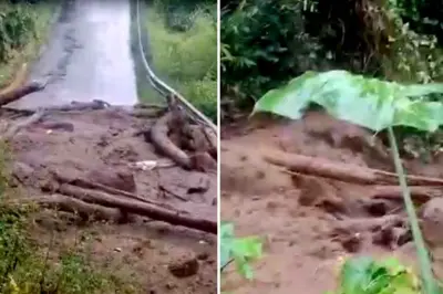 ভারী বৃষ্টিতে বিপর্যস্ত সিকিম, ব্যাপক ভূমিধস! একাধিক এলাকায় জারি লাল সতর্কতা, শঙ্কায় পর্যটকরা