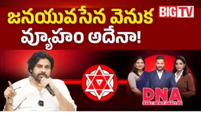 పవన్ బర్త్డే వేళ సంచలన నిర్ణయం.. జనసేనలో యువజన విభాగం ఏర్పాటుకు రంగం సిద్ధం!