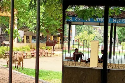 गार्ड नसल्याने उद्यानात नागरिक त्रस्त