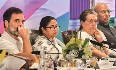 বিজেপিকে রুখতে 'একের বিরুদ্ধে এক', দেরিতে হলেও রাহুলের ফর্মুলাতে সায় দিতে পারেন মমতা