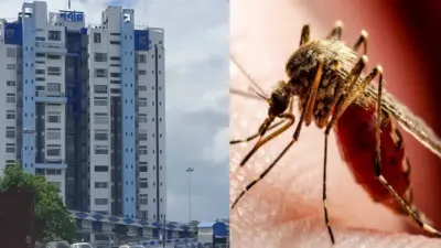 ডেঙ্গি রুখতে নবান্নের কড়া বার্তা, ৩ থেকে ৫ সেপ্টেম্বর রাজ্যজুড়ে চলবে বিশেষ সাফাই অভিযান! - বর্তমান বাংলা