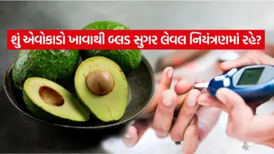હૃદયરોગનું જોખમ ઘટાડશે એવોકાડો: બેડ કોલેસ્ટ્રોલ ઘટે છે અને બ્લડ પ્રેશર રહે છે નિયંત્રણમાં