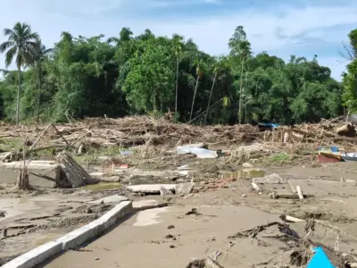 'Nothing left but ruins': Sivasagar's Nepali Khuti begins long road to recovery