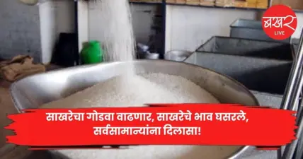Sugar prices : साखरेचा गोडवा वाढणार, साखरेचे भाव घसरले, सर्वसामान्यांना दिलासा!