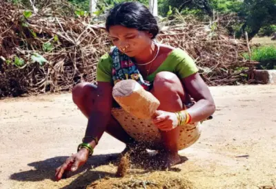 ଆଦିବାସୀ ମାନ୍ୟତାରୁ ବଂଚିତ ଝୋଡ଼ିଆ ସମୁଦାୟ