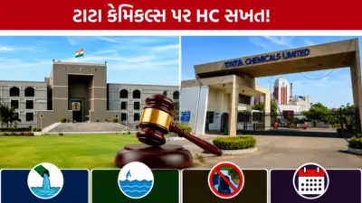 મીઠાપુરમાં ટાટા કેમિકલ્સનો પ્રદૂષણ મામલો: GPCBએ હાઈકોર્ટમાં સોગંદનામું રજૂ કર્યું, ખુલ્લી નહેર બંધ કરવાની કામગીરી શરૂ