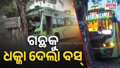 Accident Breaking: ଗଛକୁ ପିଟିଲା ଯାତ୍ରୀବାହୀ ବସ୍, ୭ ଆହତ, ଜଣେ ଗୁରୁତର